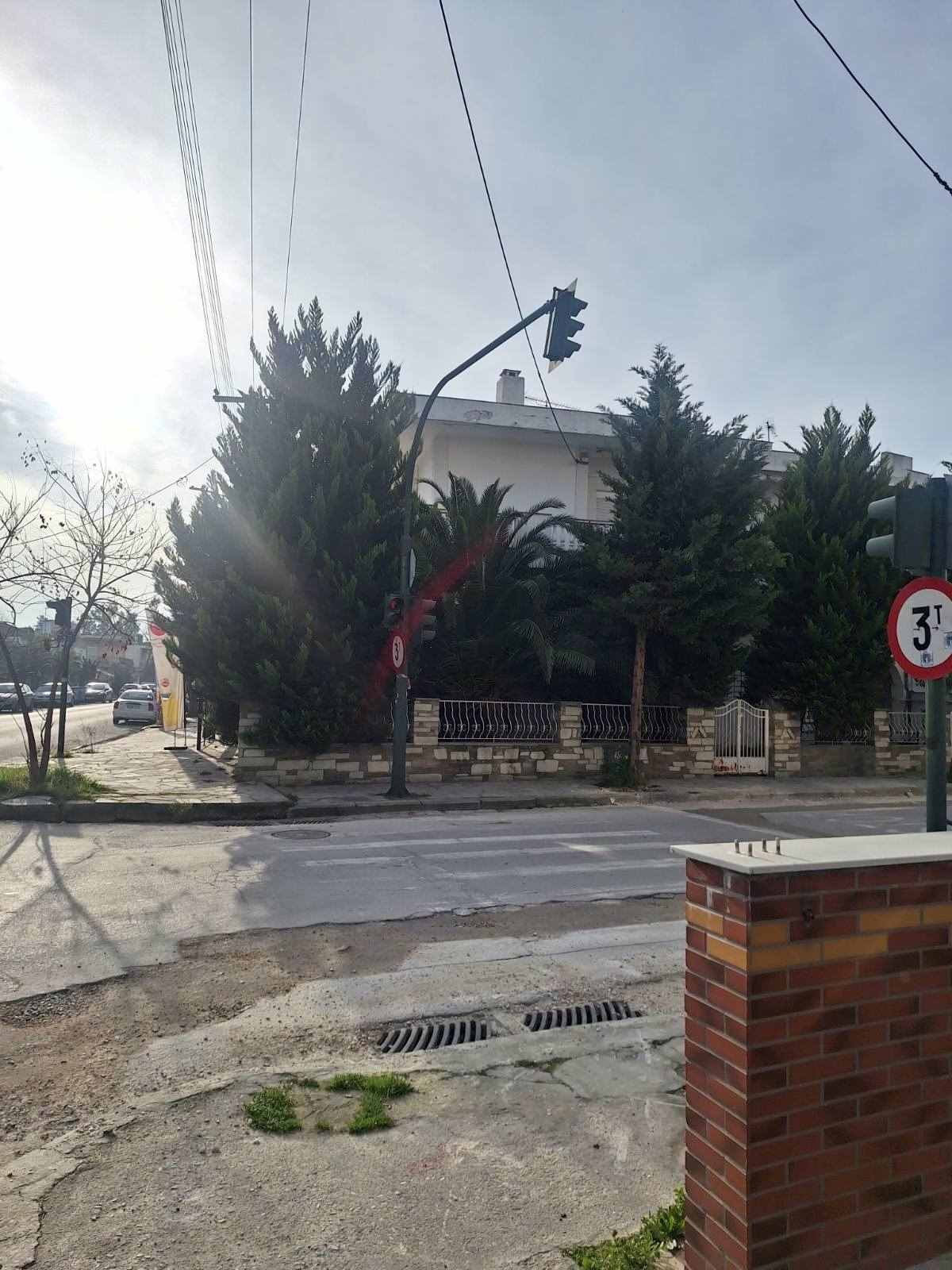 photo1