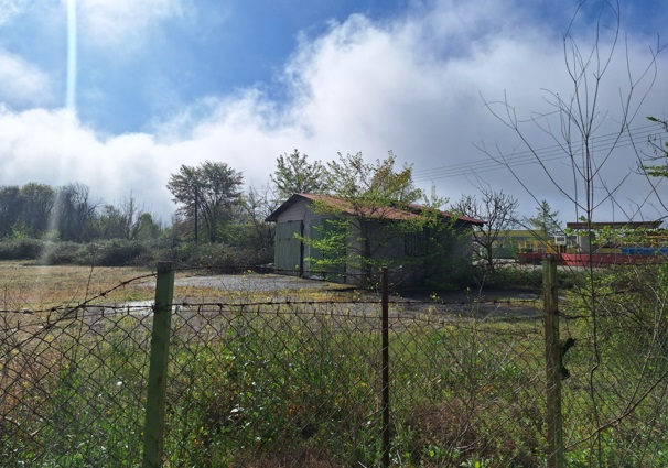 photo1