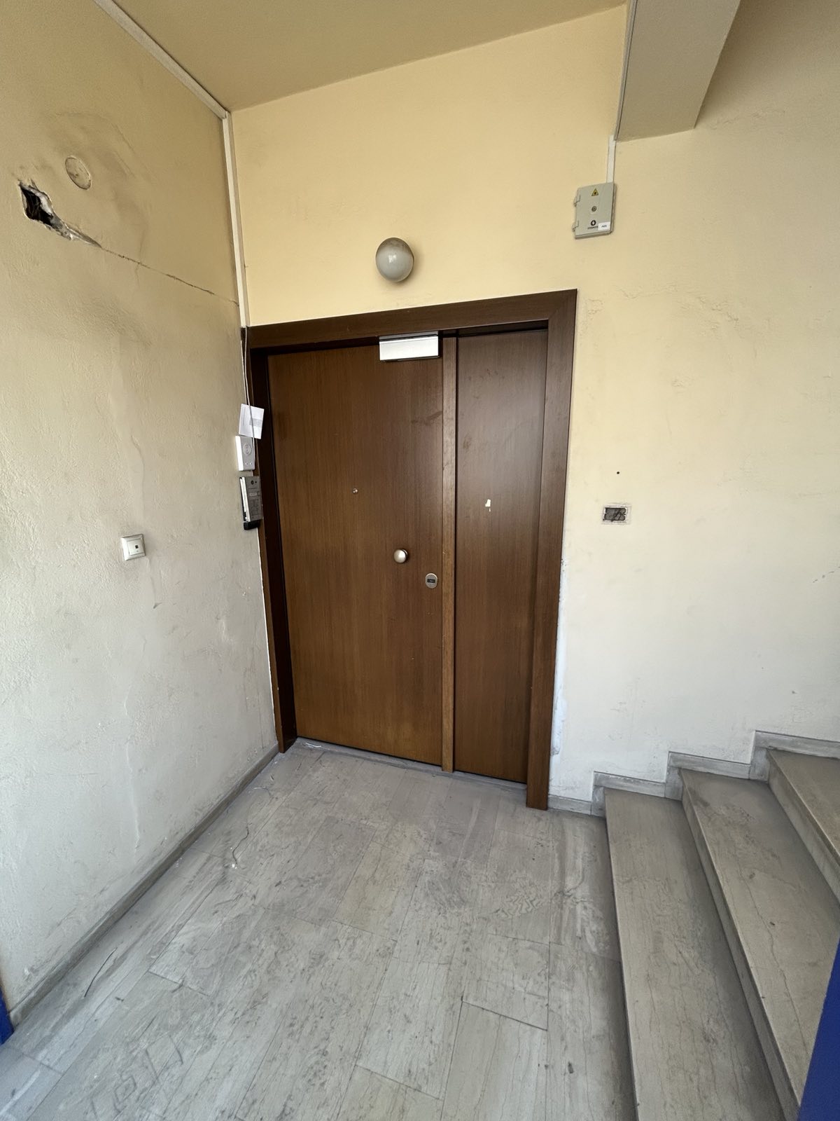 photo5