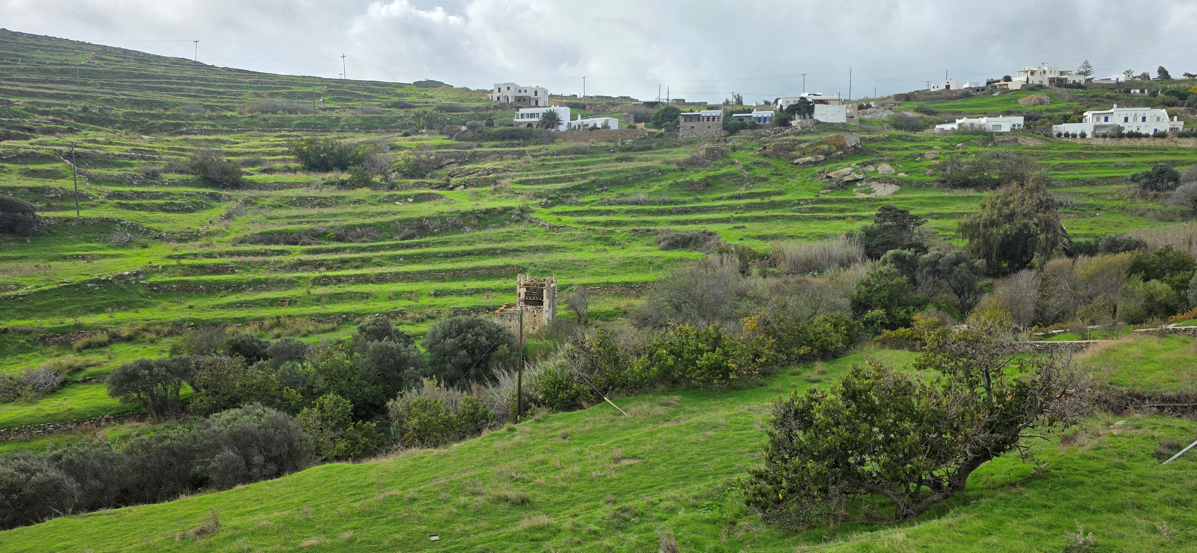 Αγροτεμάχιο  σε πλειστηριασμό Municipality of Tinos