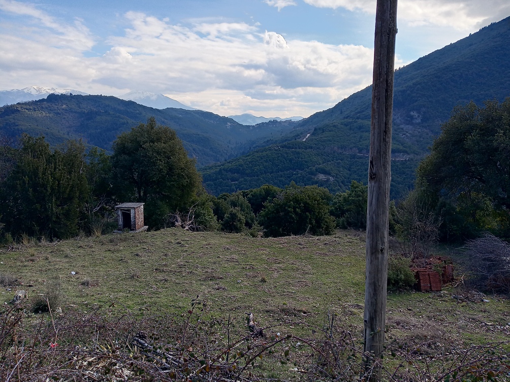photo1