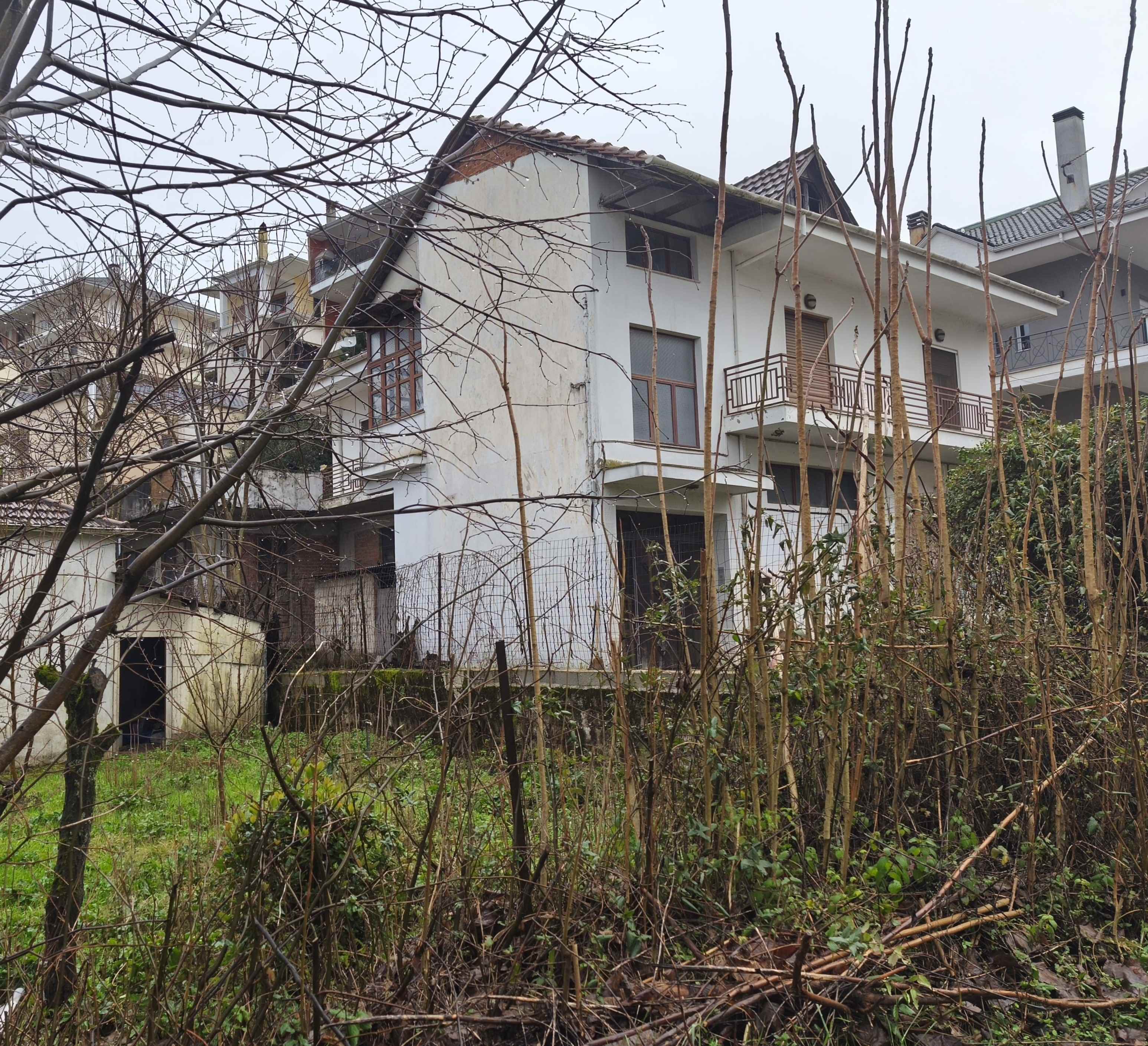 photo1