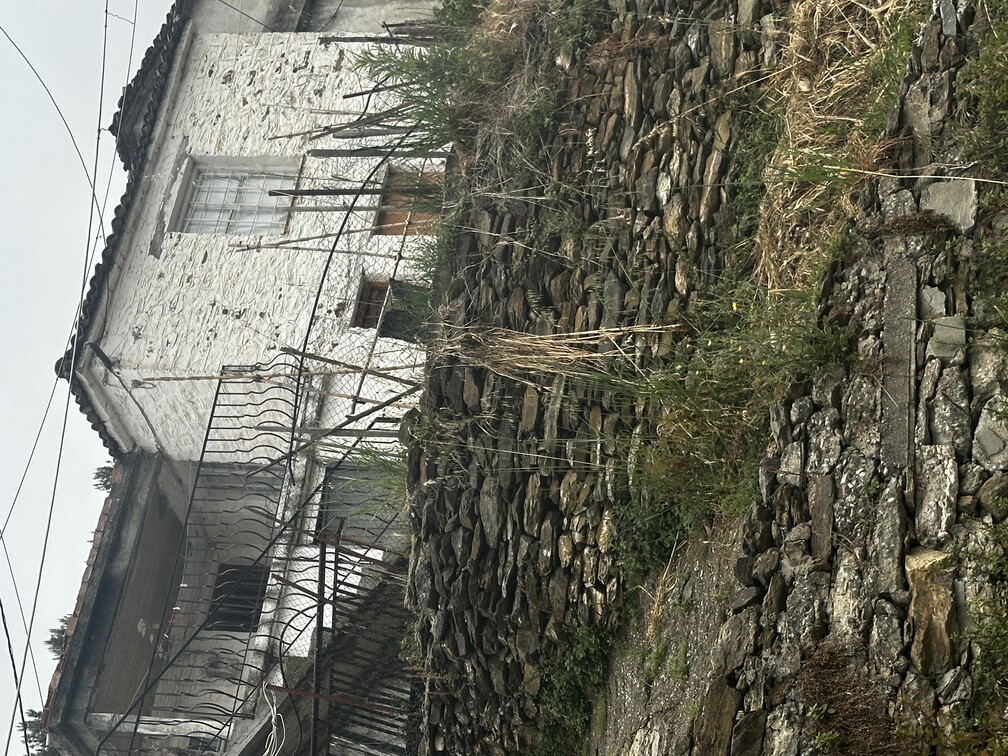 photo0