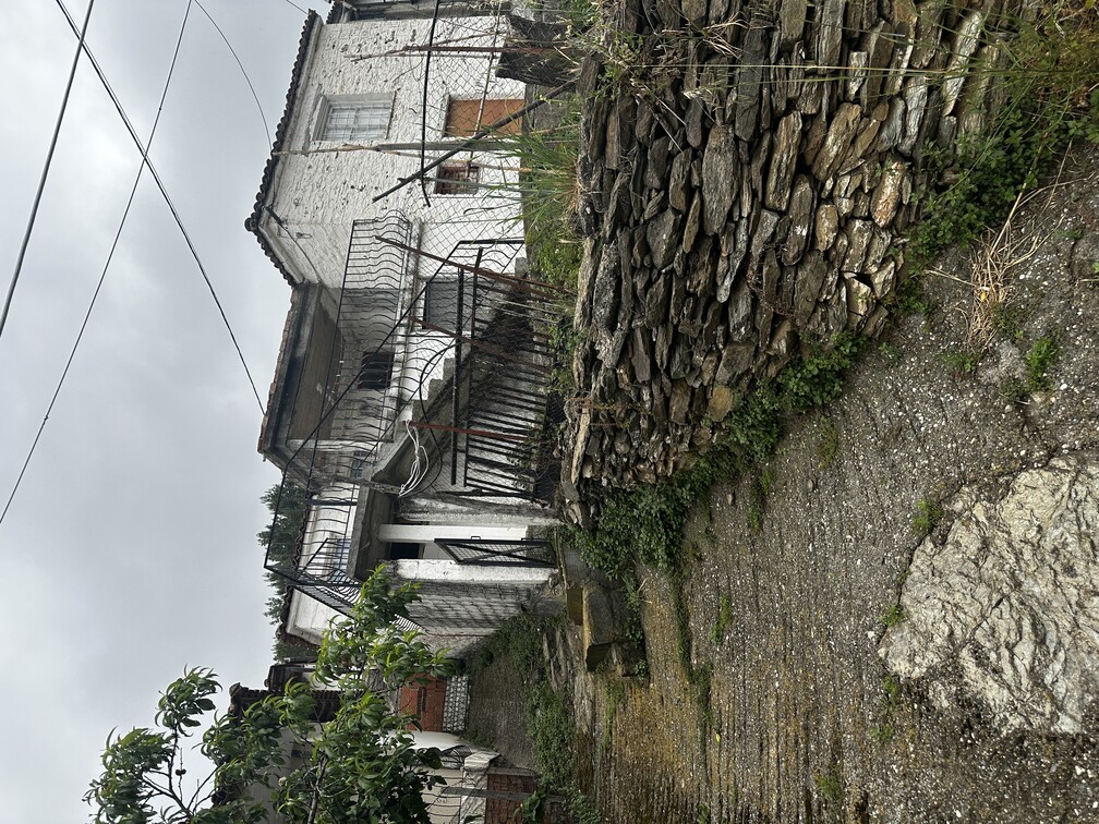 photo1