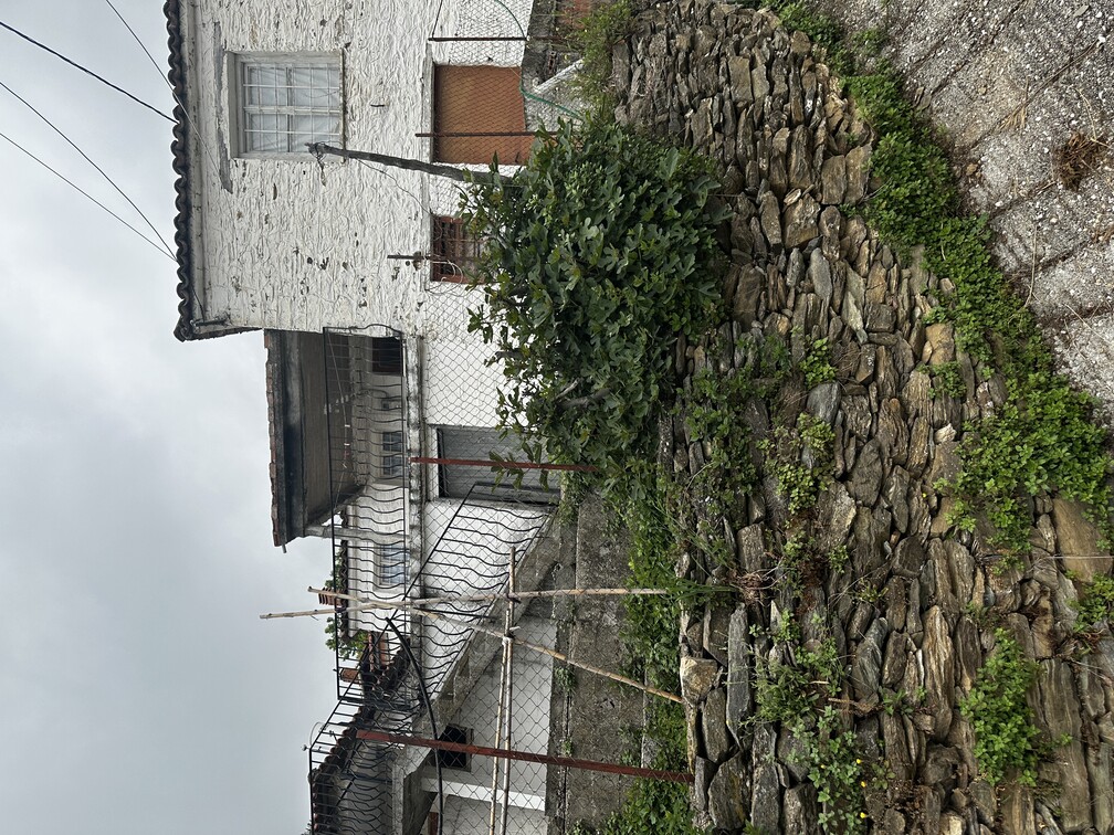 photo2