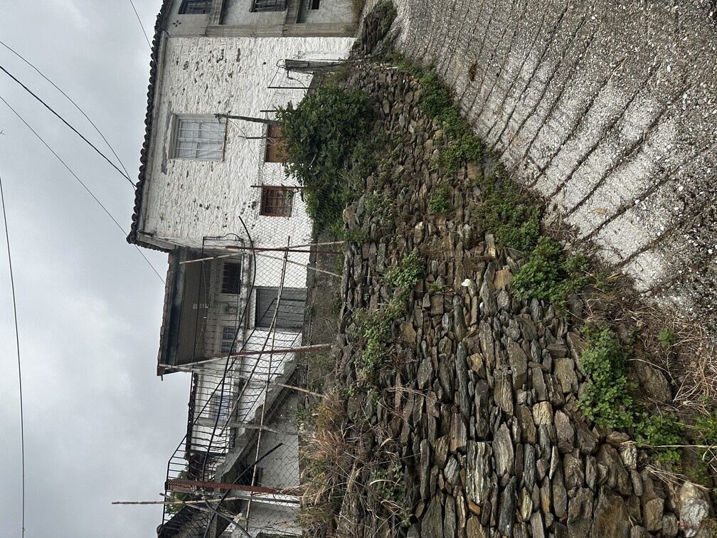 photo3