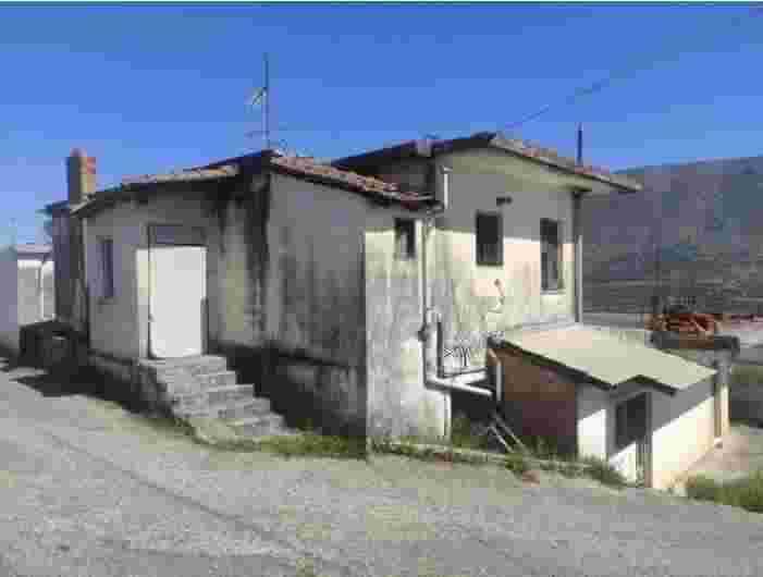 photo1