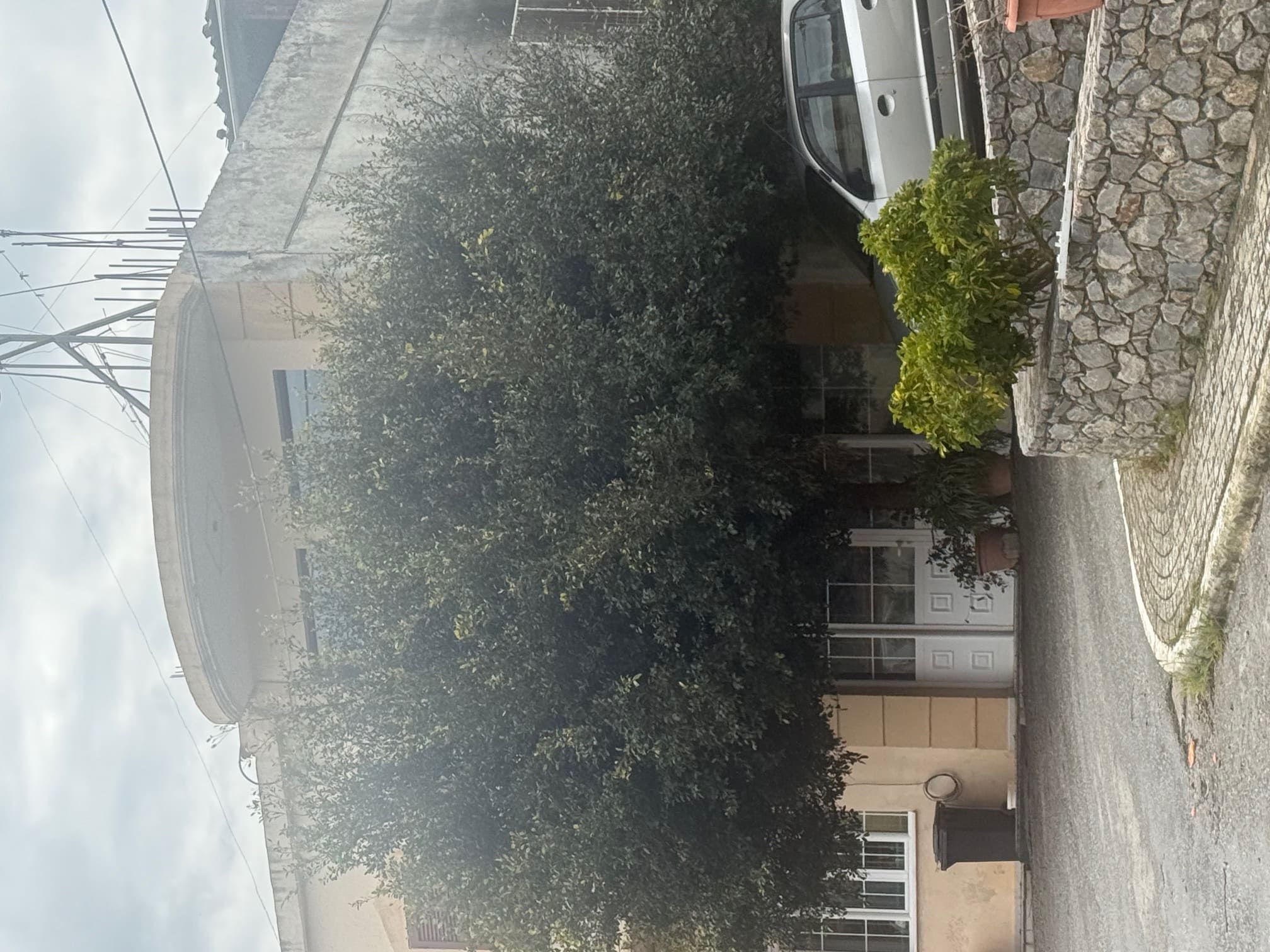 photo0