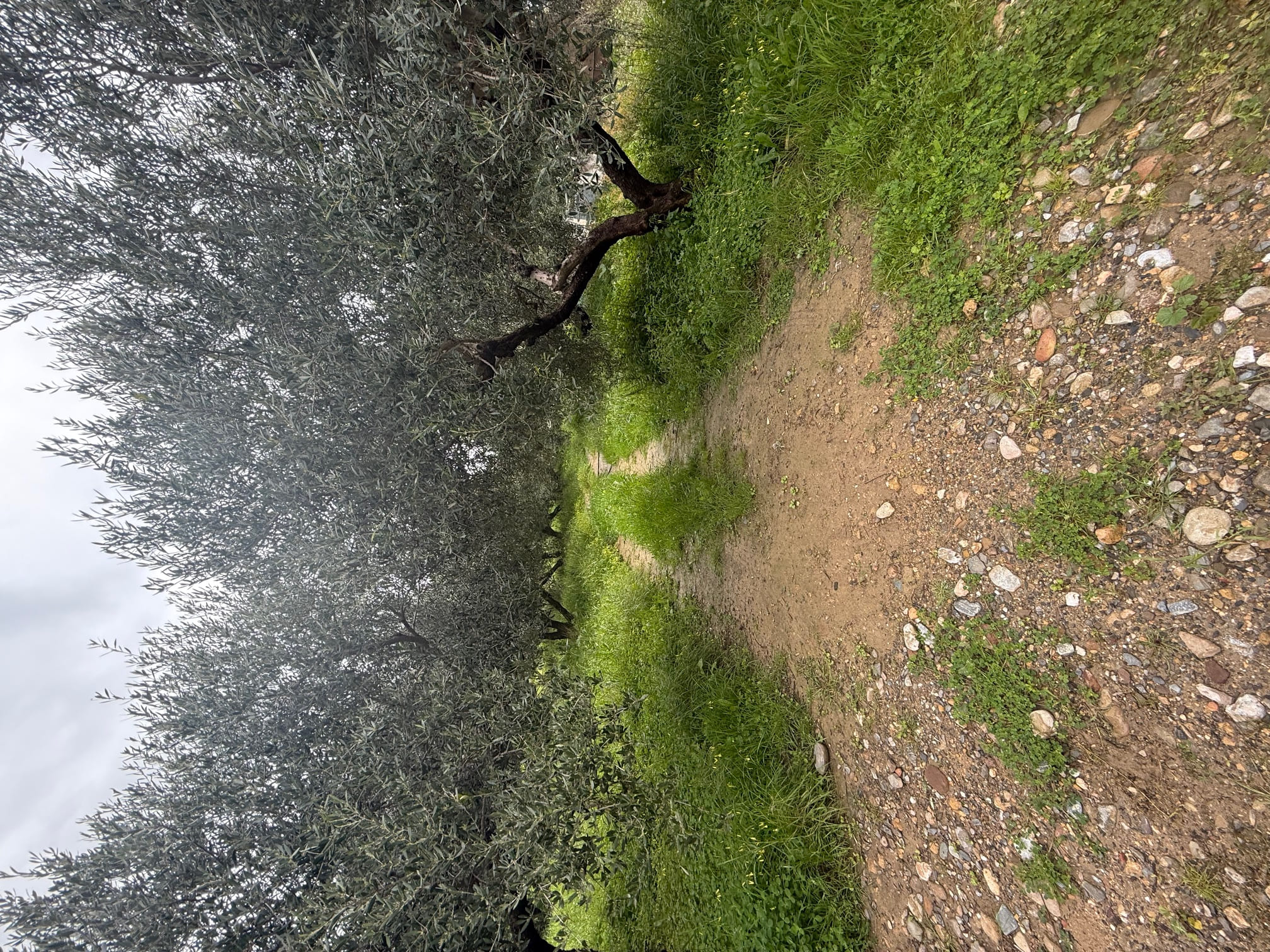 photo2