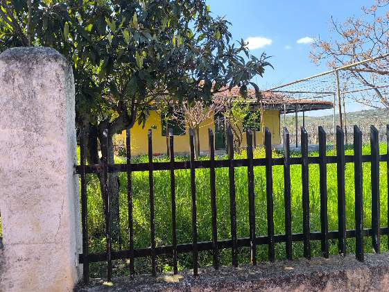 photo1