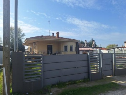 photo1
