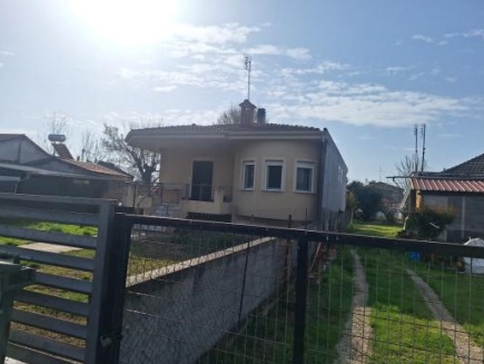 photo2