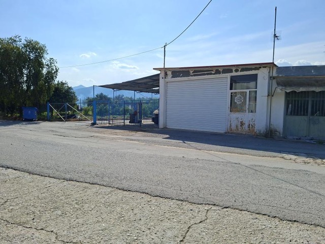 photo1