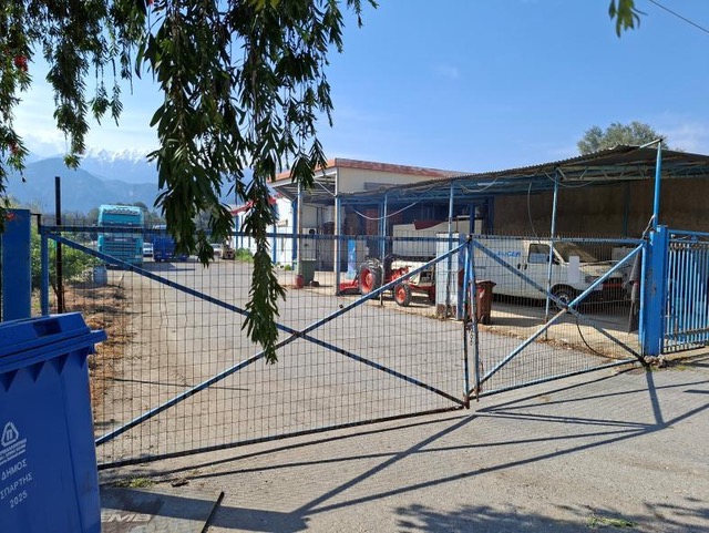 photo3