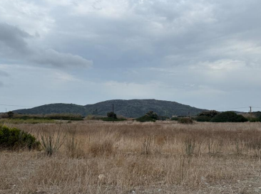 photo3