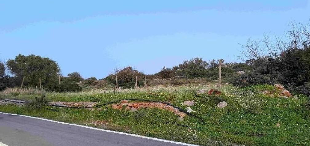 photo3
