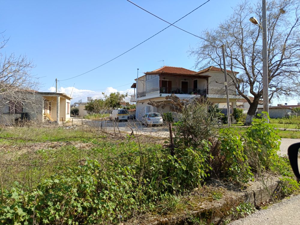photo2