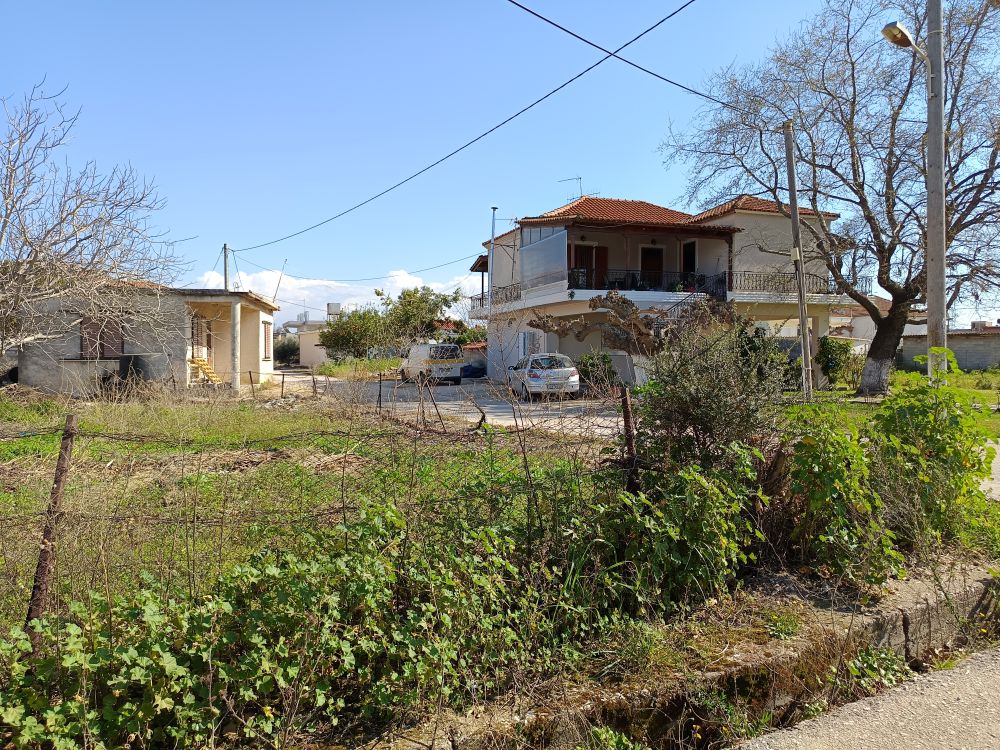 photo3