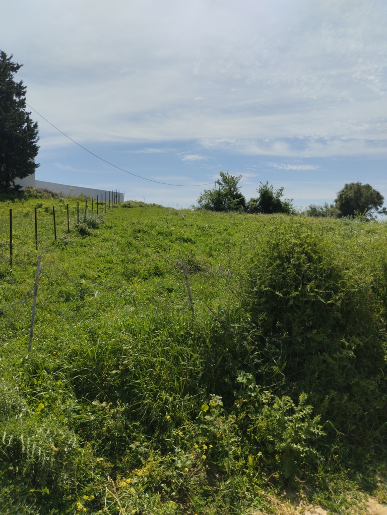 photo1