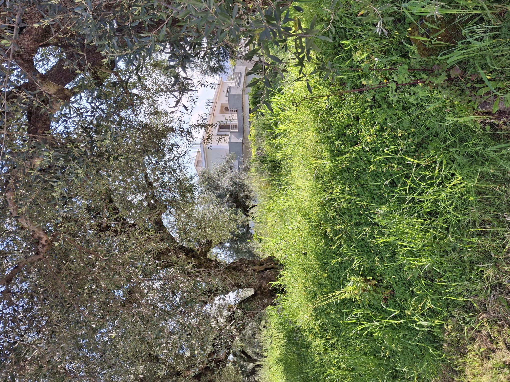 photo0