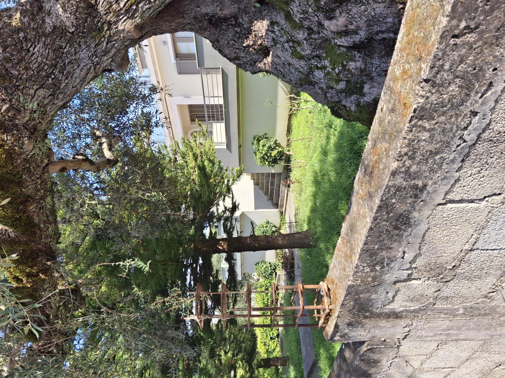 photo1