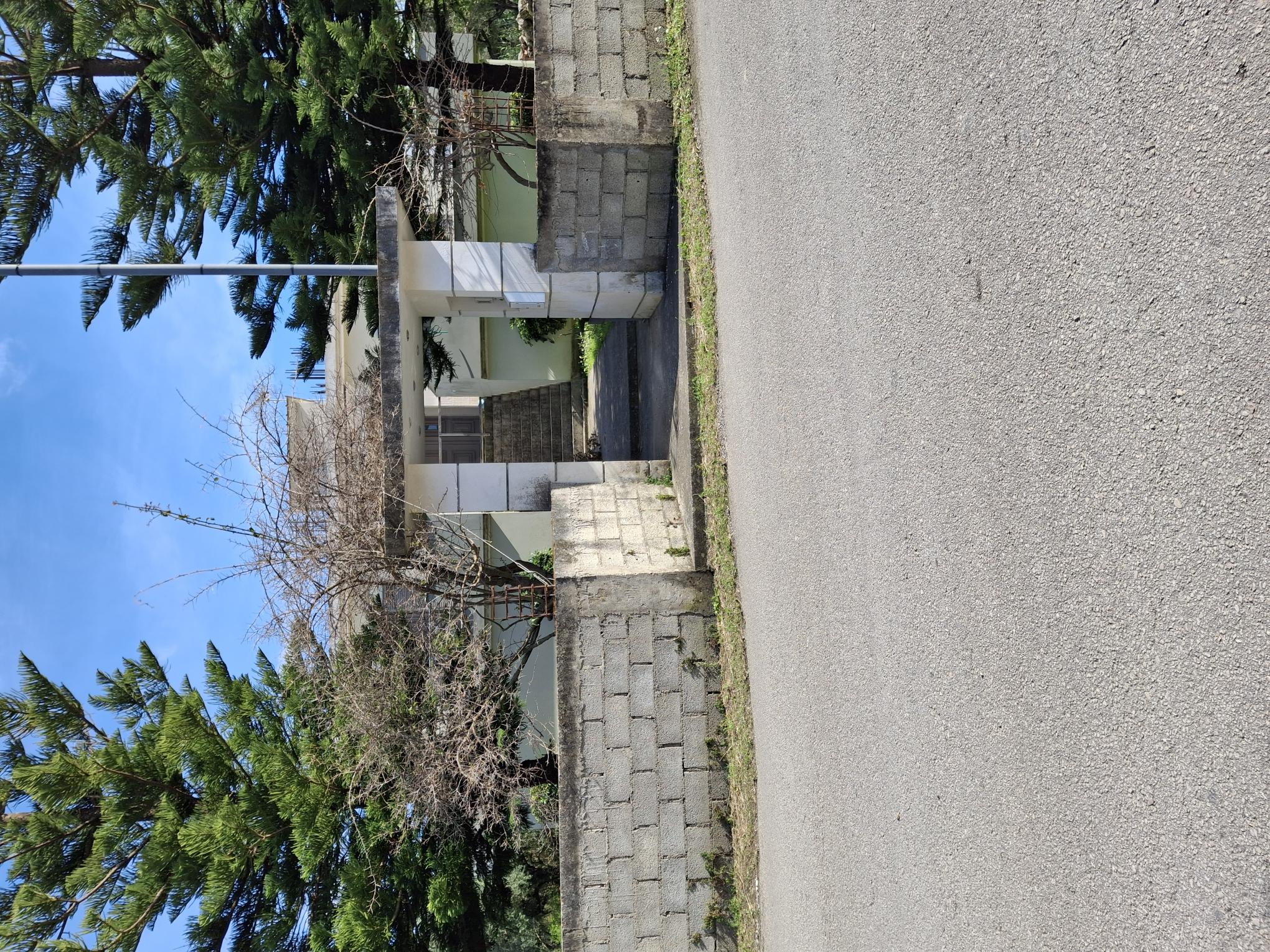 photo2