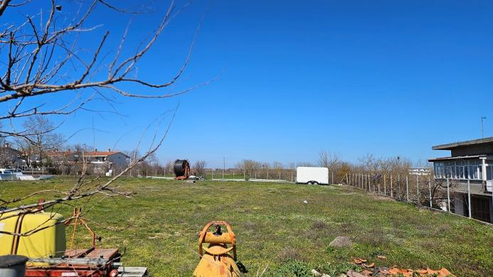 photo1