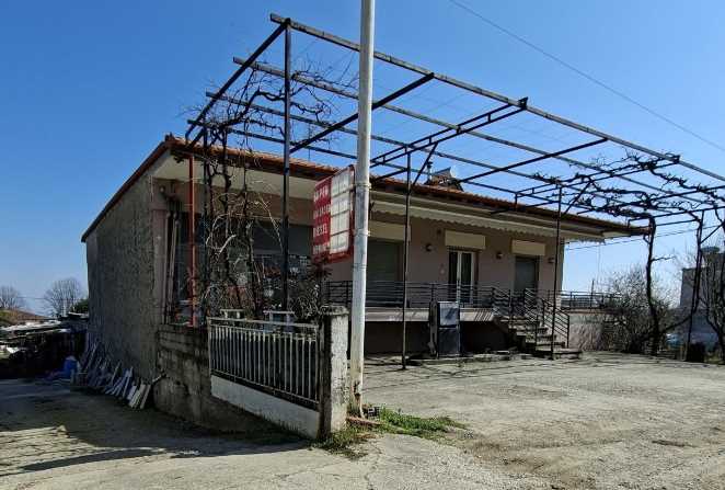 photo2