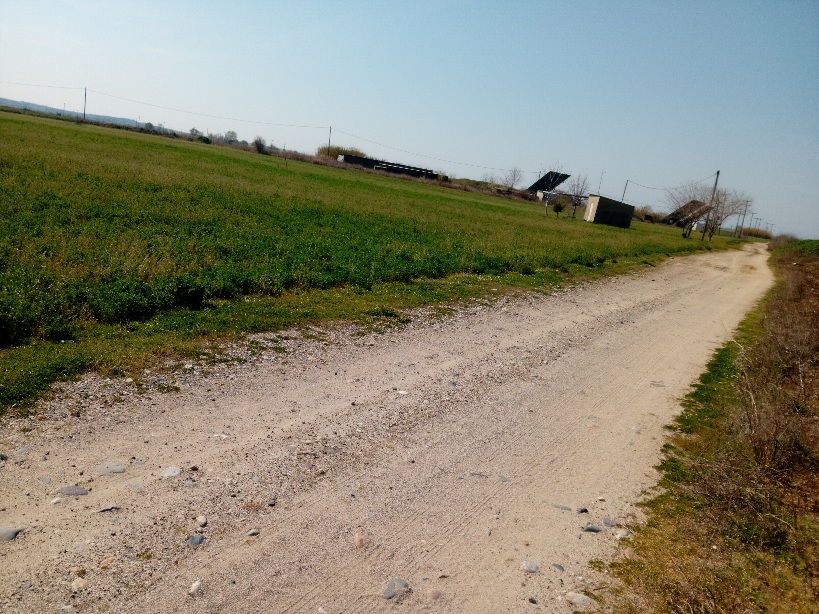 photo1