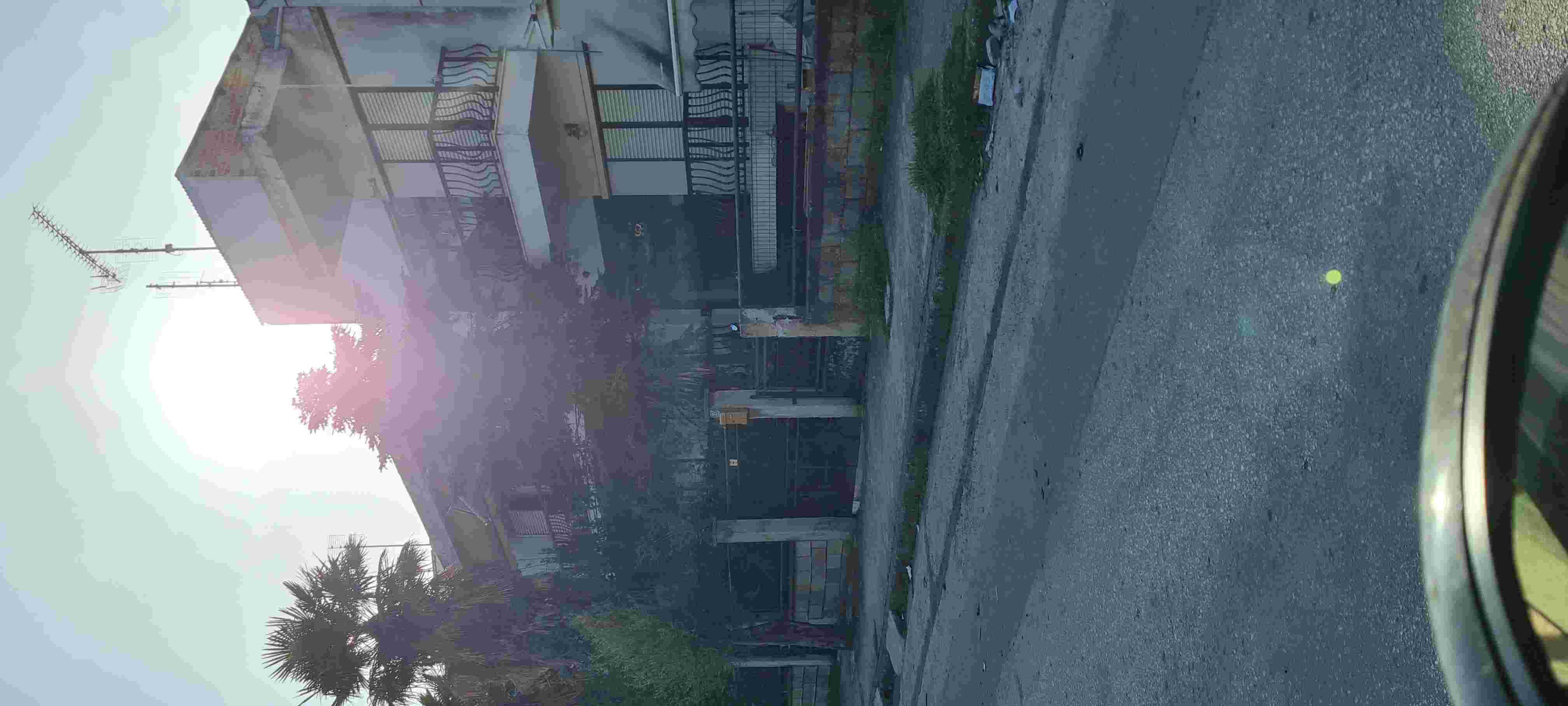 photo1