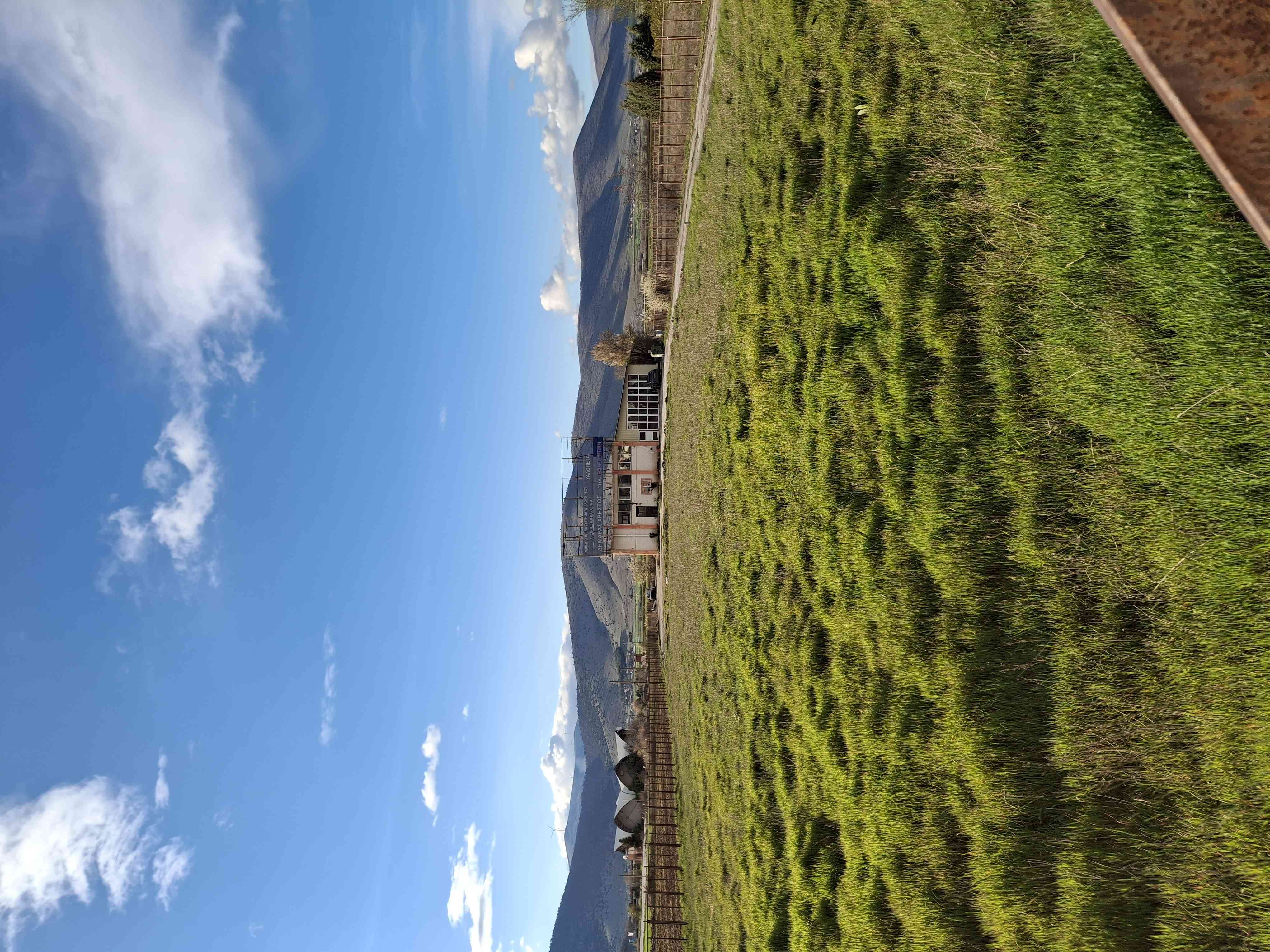 photo0