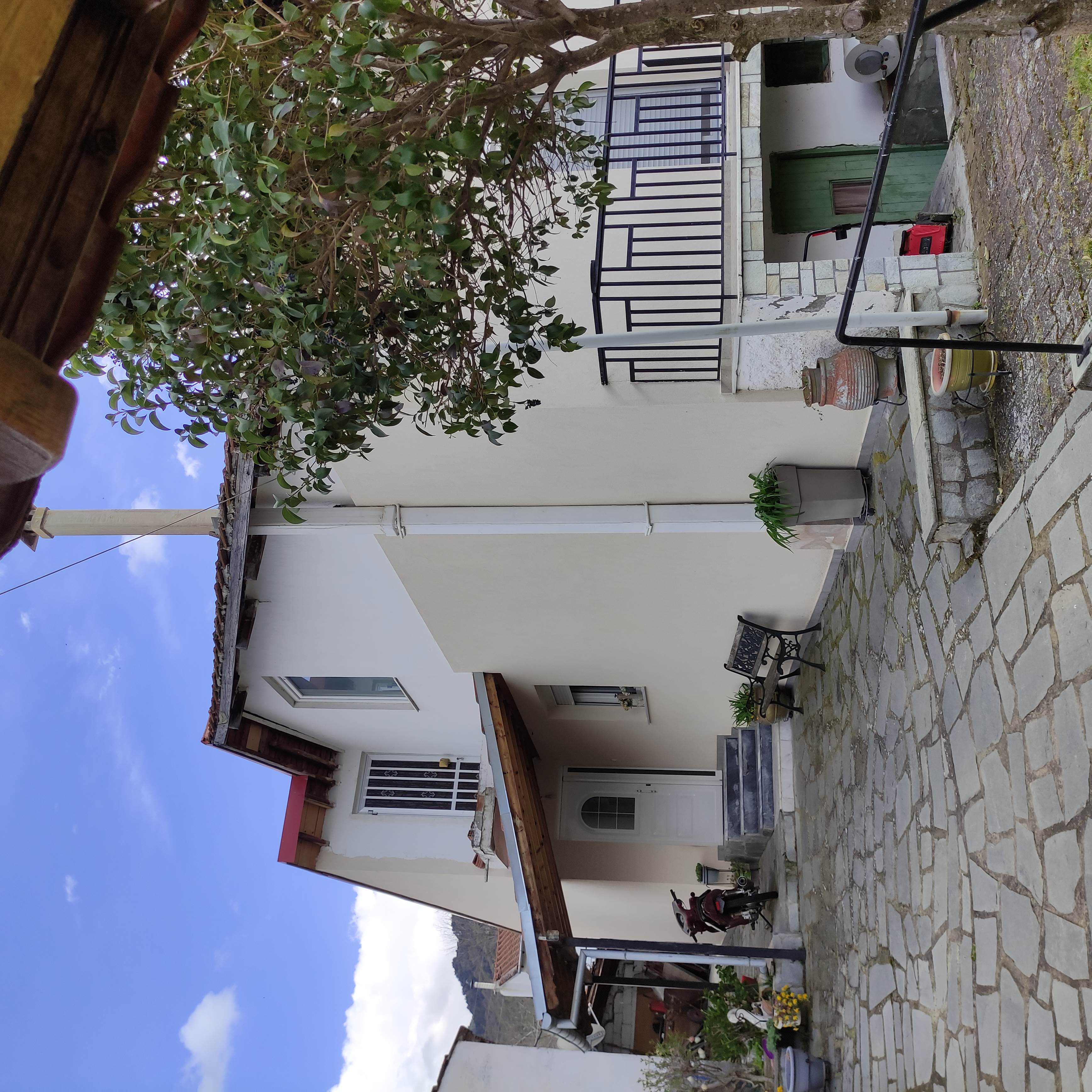 photo2