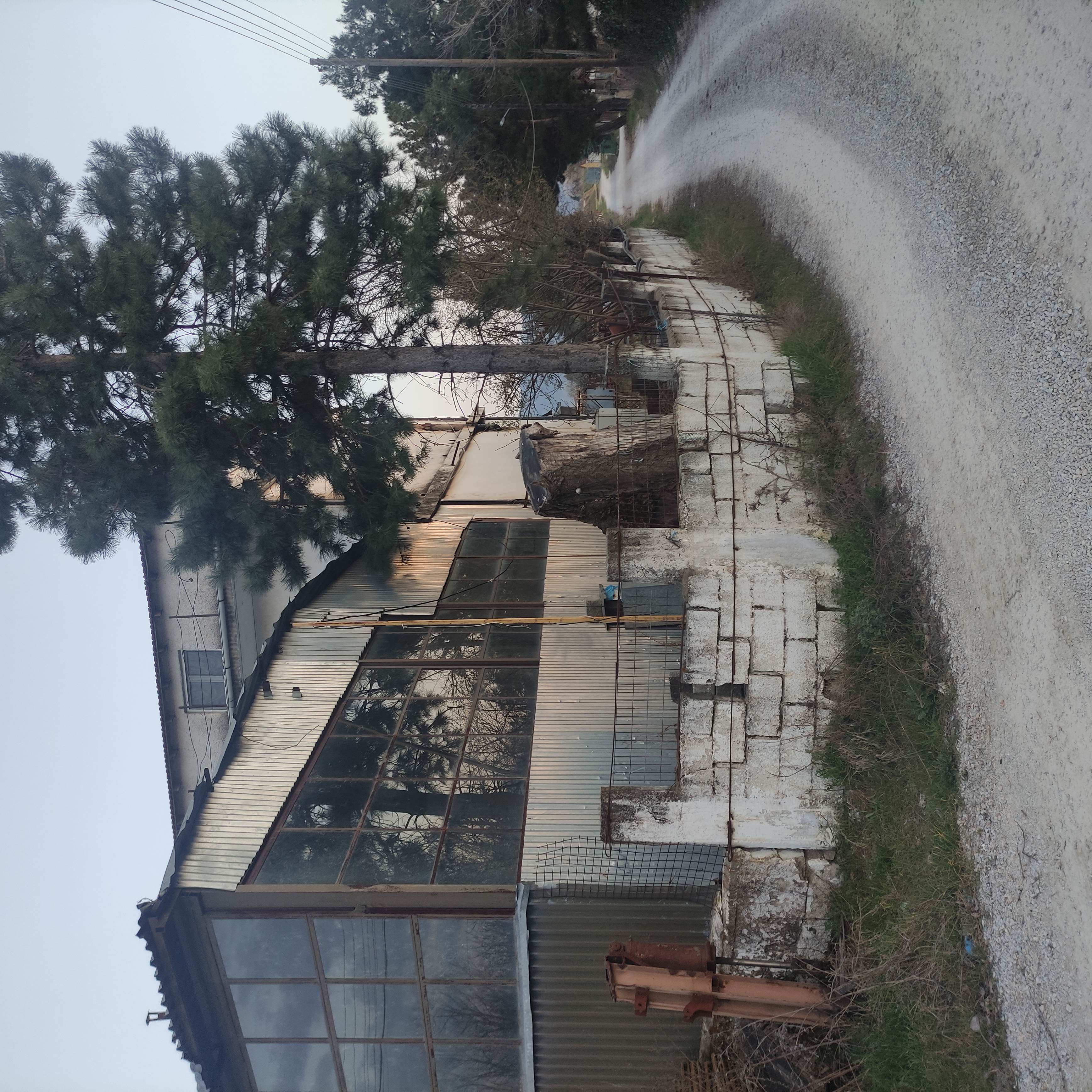 photo2