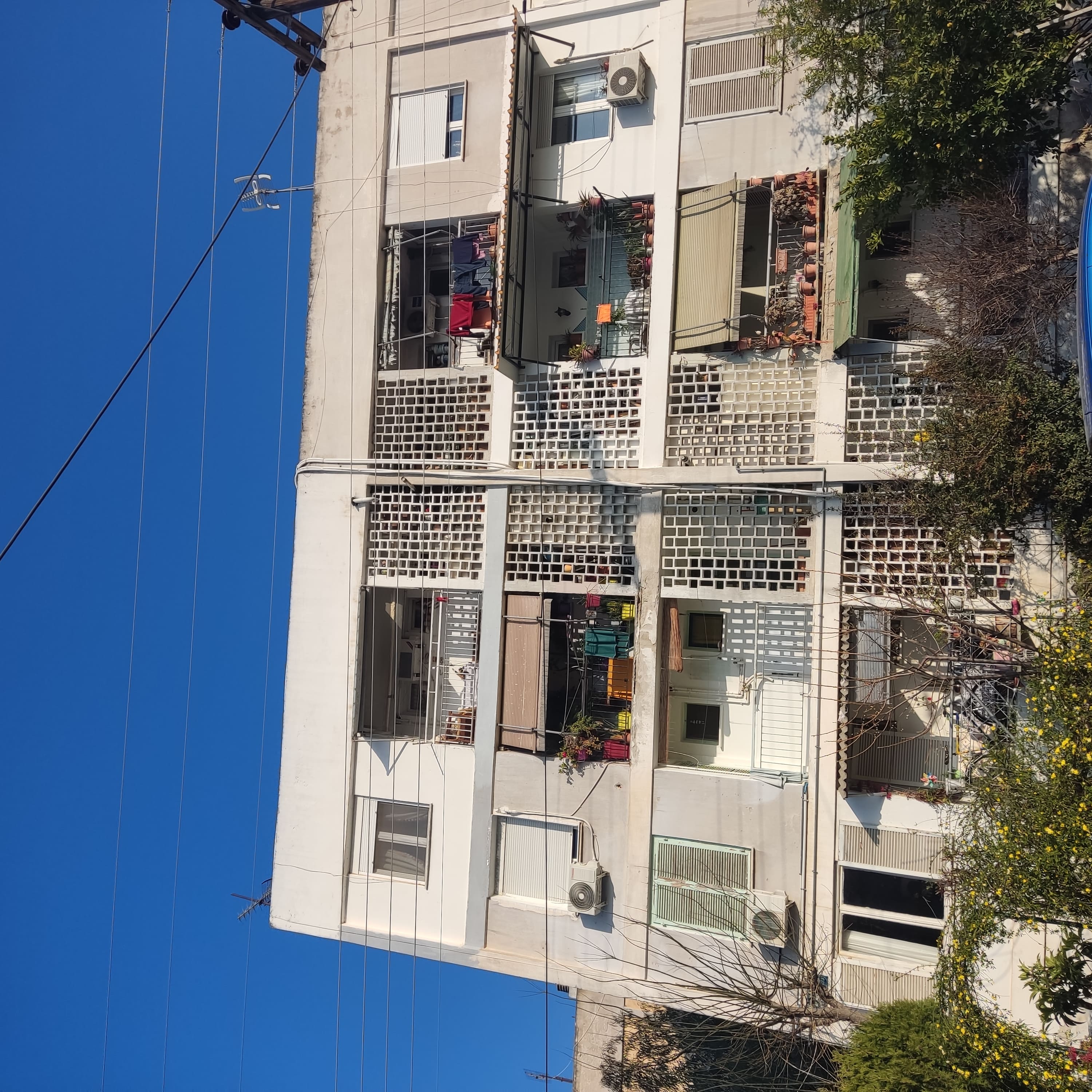 photo1