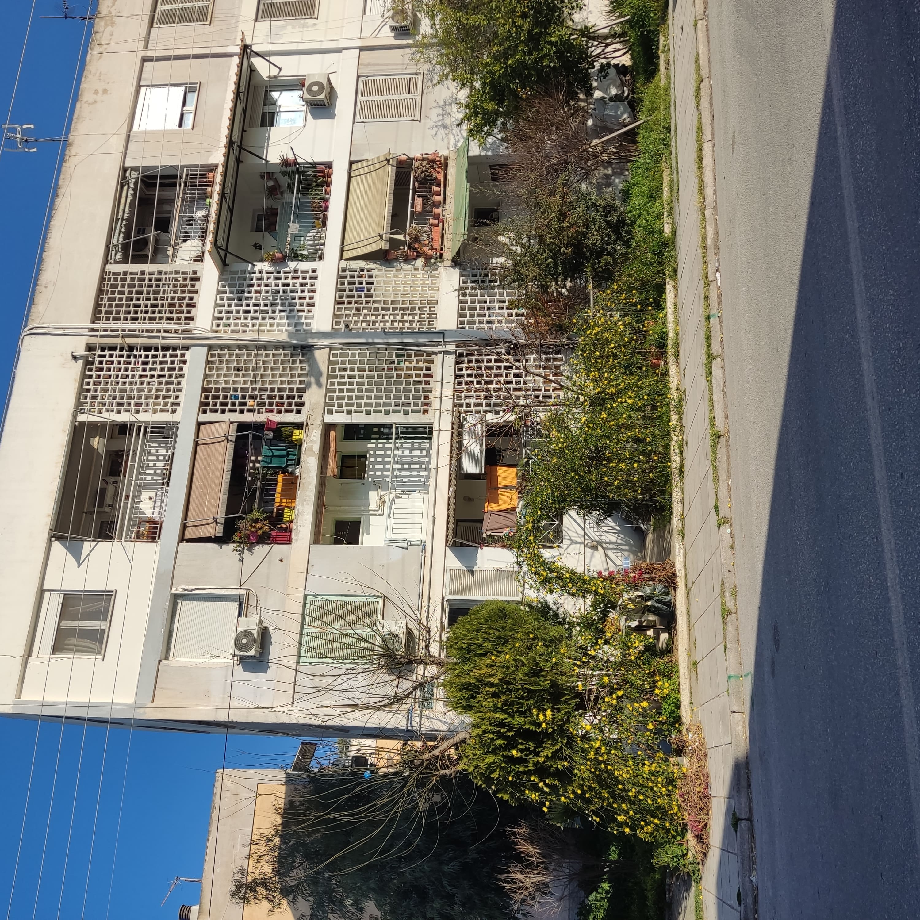 photo2