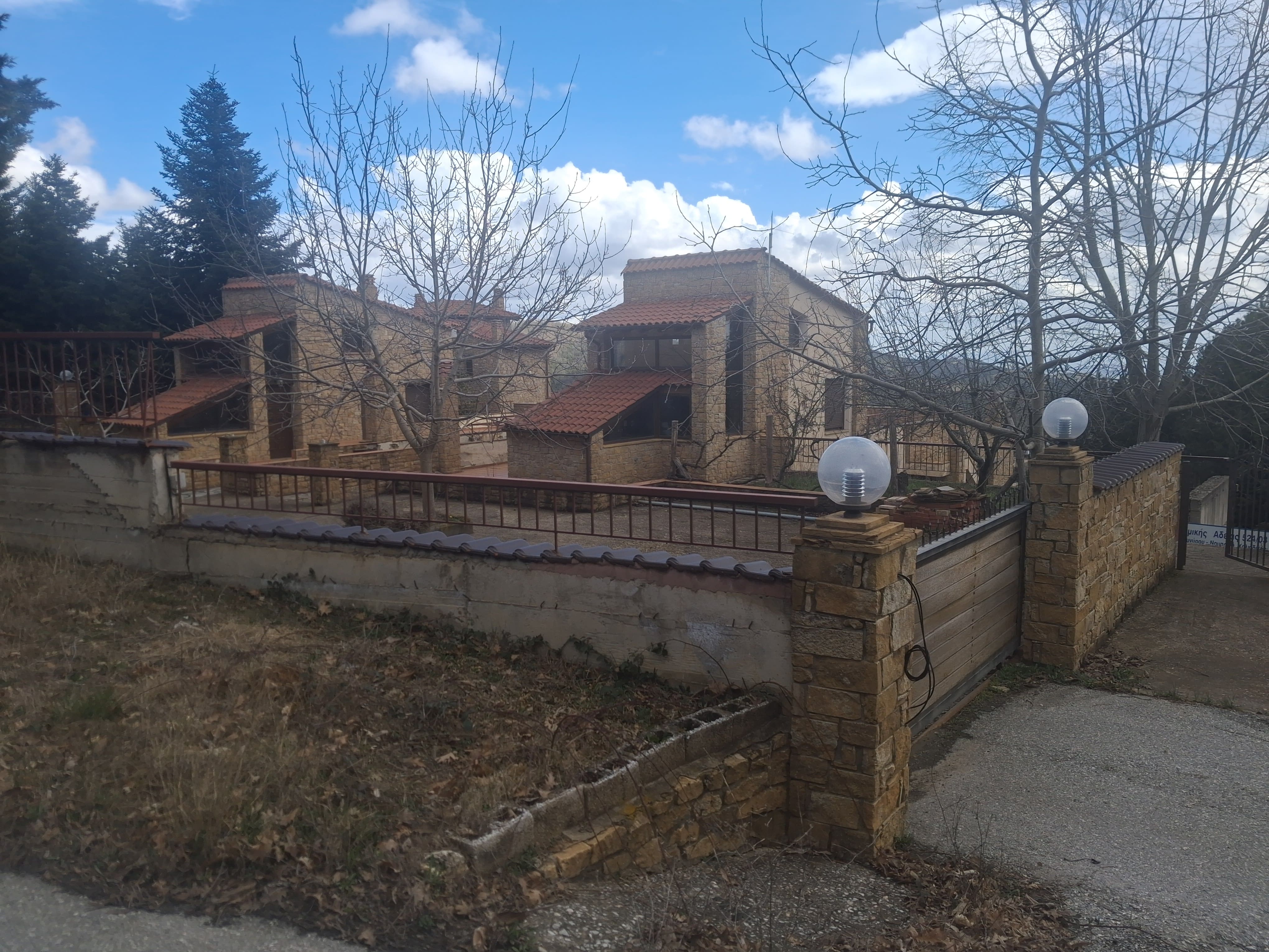 photo1
