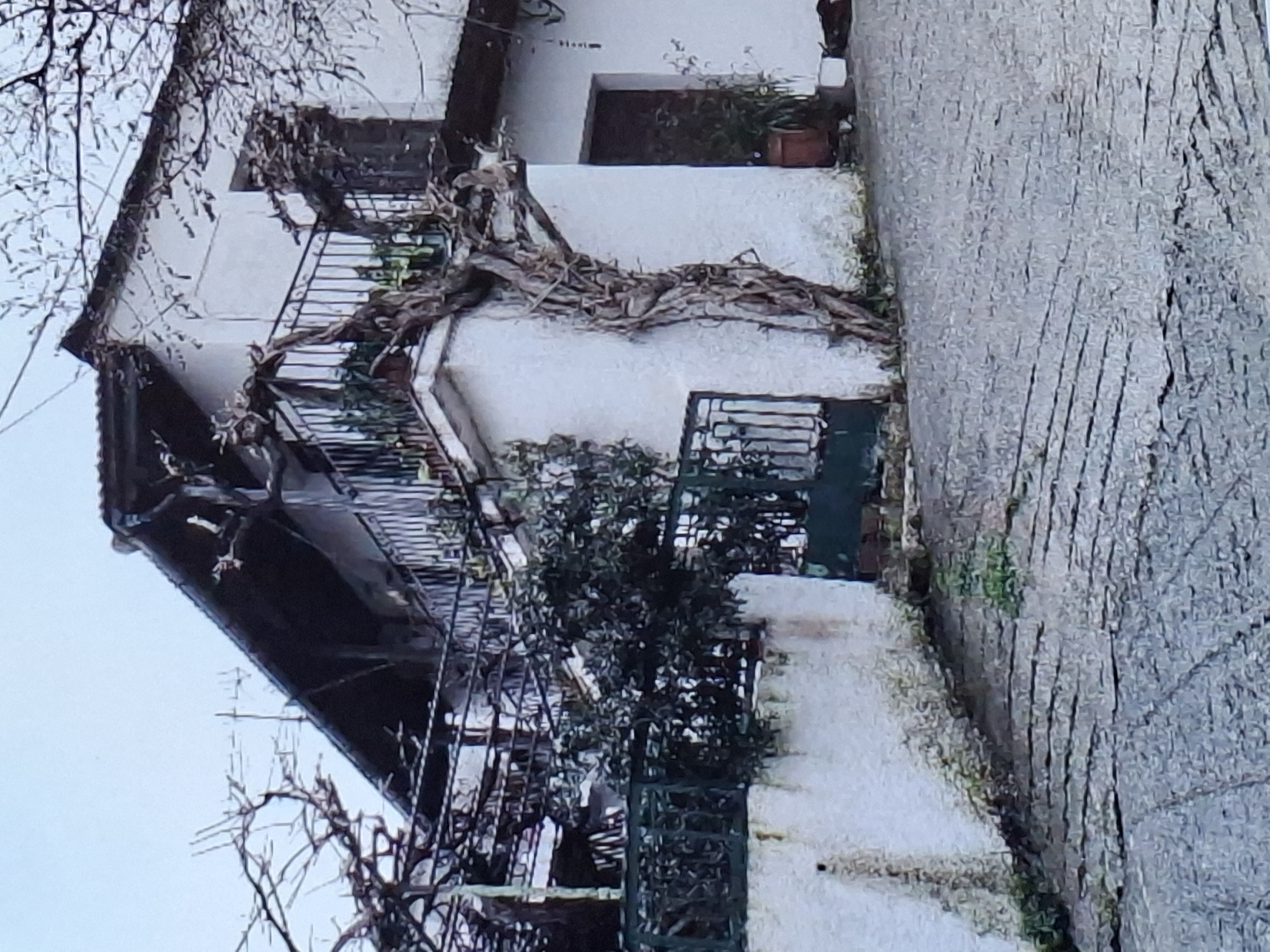 photo1