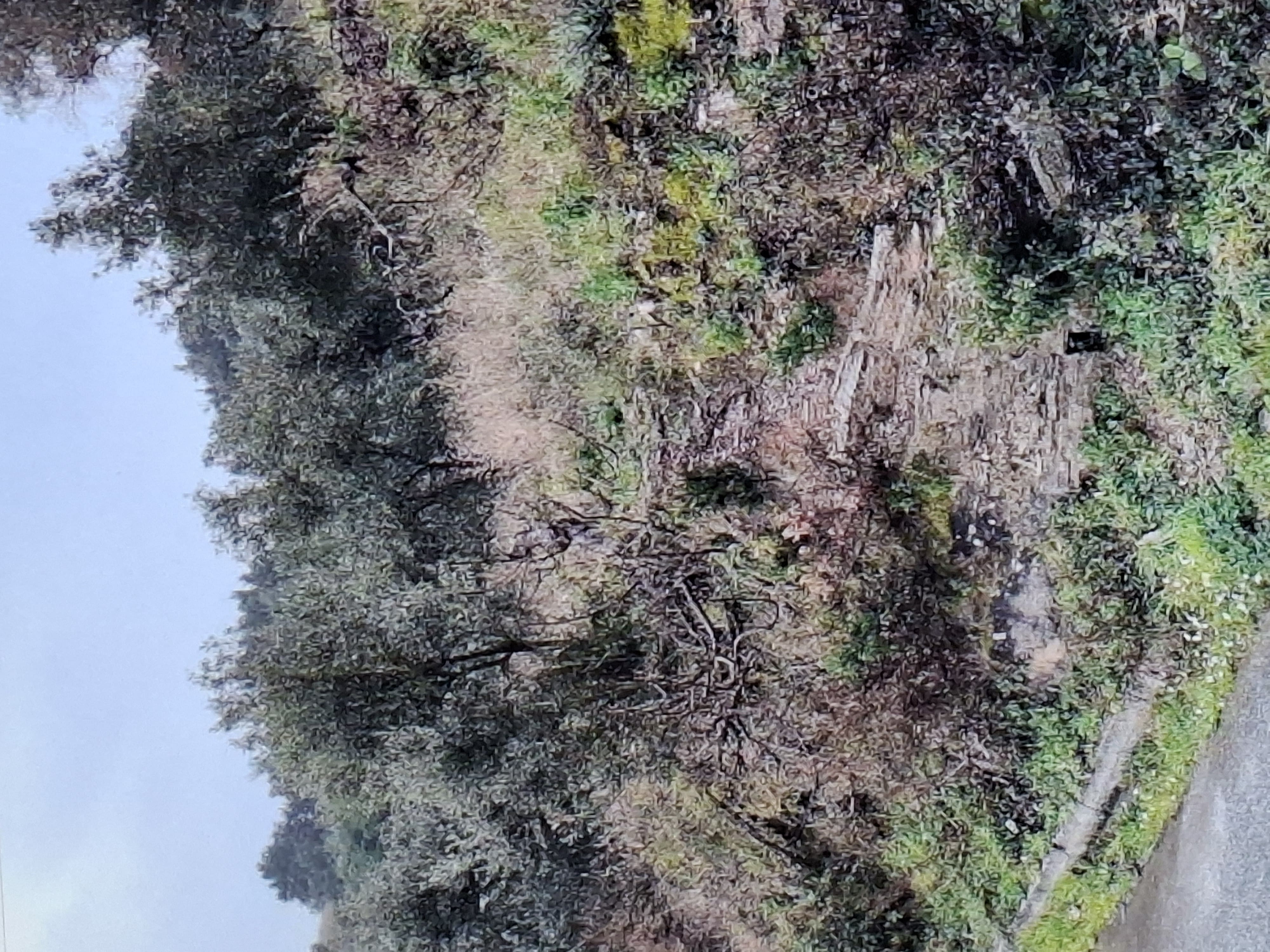 photo1