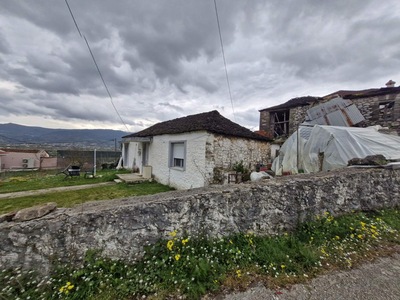photo1