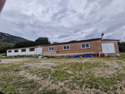 photo0