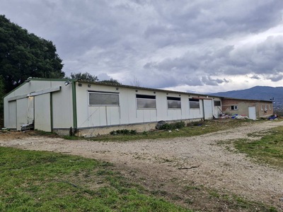photo1