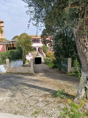 photo1
