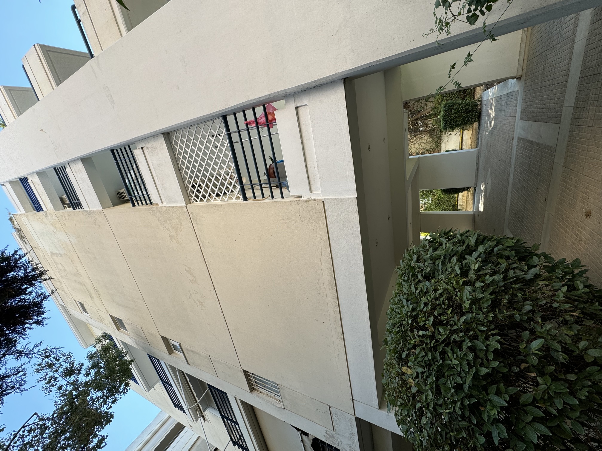 photo1