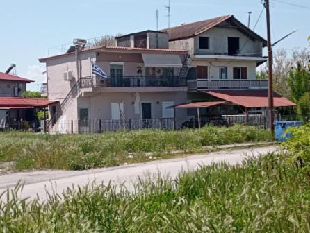 photo5