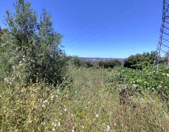 photo4