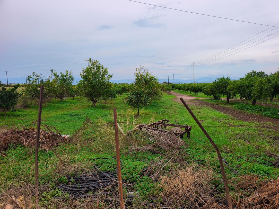 Αγροτεμάχιο 520 sq.m. σε πλειστηριασμό Municipality of Nafplio