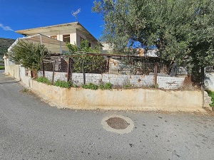 photo2