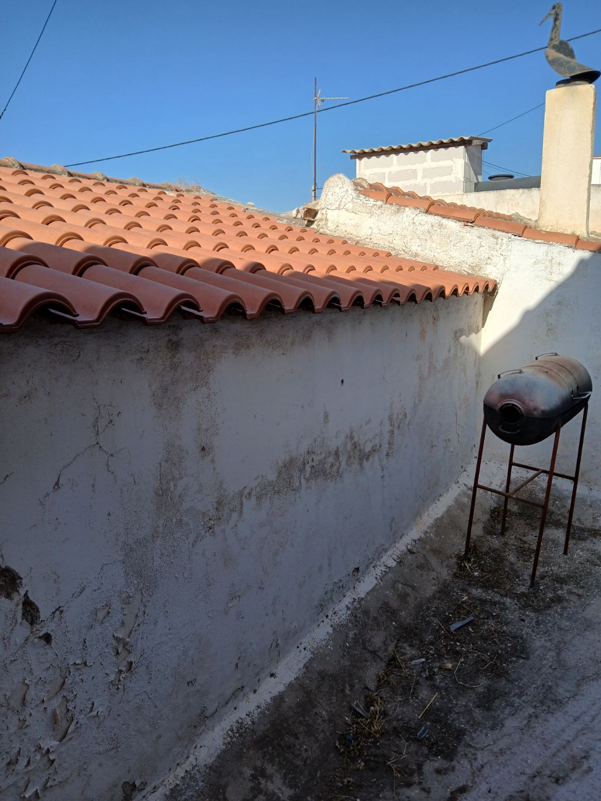 photo3