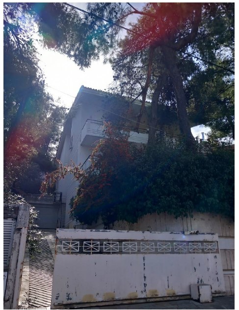 photo1