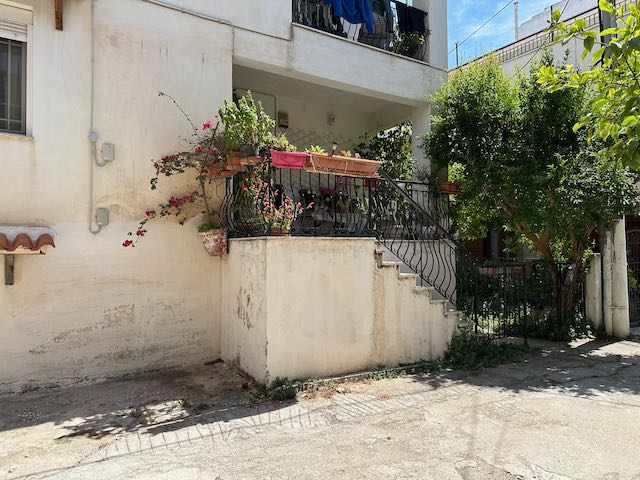 photo11